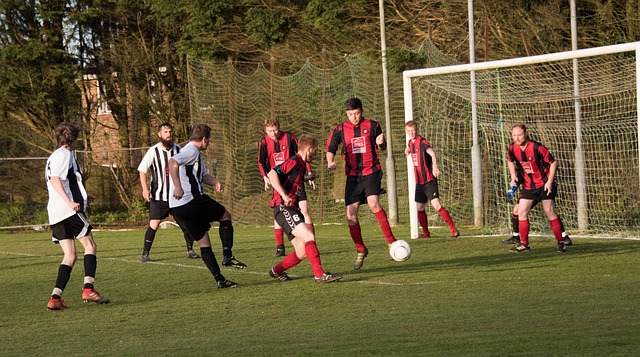 湖人用少量 湖人用少量