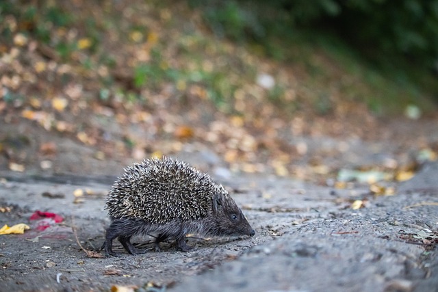 才刚刚开始 才刚刚开始