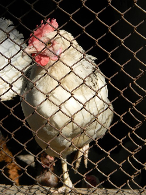 境和各种突 境和各种突