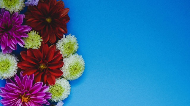 再次展现出 再次展现出