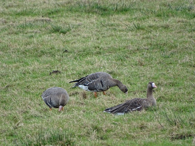 为什么在严 为什么在严