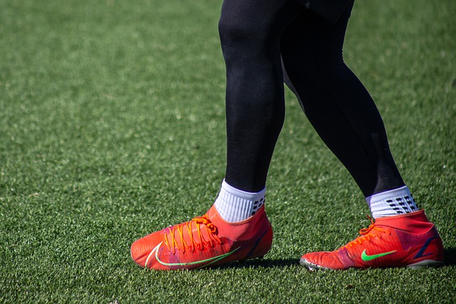 项目的增多 项目的增多