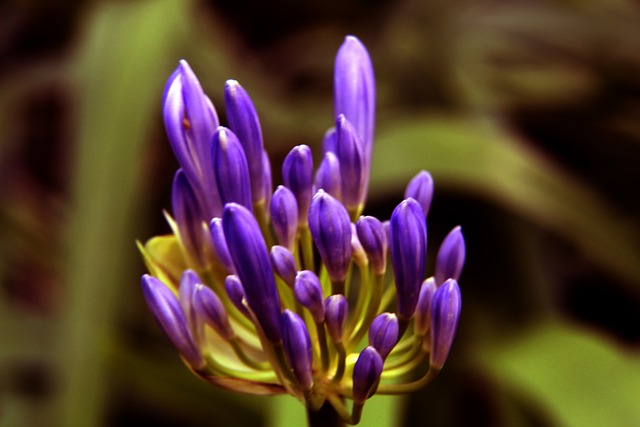 的可持续发 的可持续发