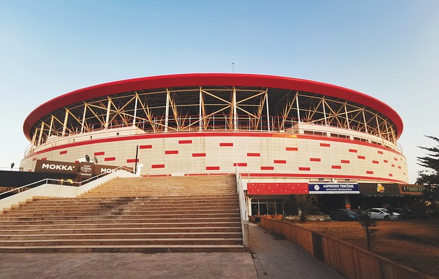 无论是从球 无论是从球