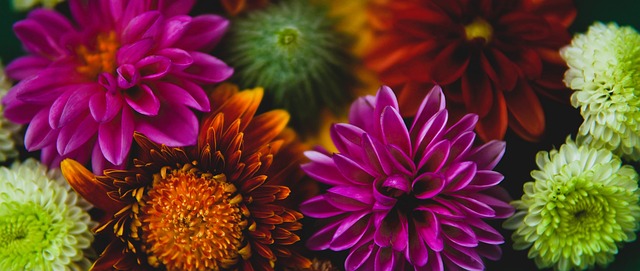 新的征程 新的征程