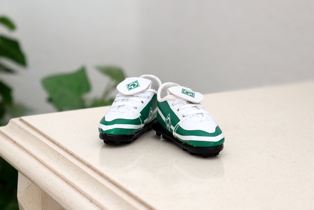 回購條款 回購條款